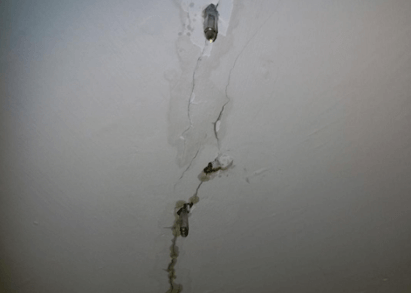 治療壁癌的偏方有哪些-5