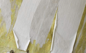 油漆時或是油漆後產生的問題原因以及解決方法Q&A005 油漆時或是油漆後產生的問題原因以及解決方法Q&A005