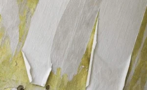 油漆時或是油漆後產生的問題原因以及解決方法Q&A005