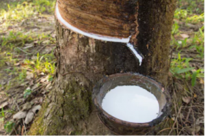 乳膠漆的特點是什麼? 如何正確DIY使用乳膠漆01