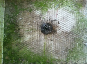 8個方法檢查房屋漏水-6 8個方法檢查房屋漏水-6