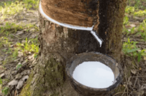 乳膠漆的特點-1