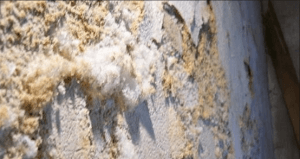 市面上的壁癌DIY產品有哪些需要注意的地方-1