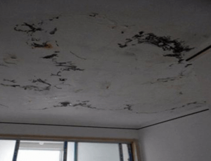 房屋外部最容易發生漏水是哪3大位置-1