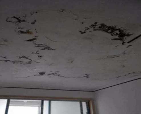 房屋外部最容易發生漏水是哪3大位置-1