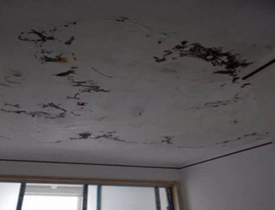 房屋外部最容易發生漏水是哪3大位置-1