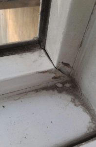 房屋外部最容易發生漏水是哪3大位置-4