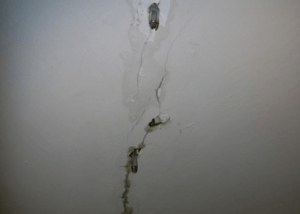 治療壁癌的偏方有哪些-5