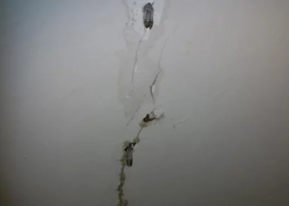 治療壁癌的偏方有哪些-5