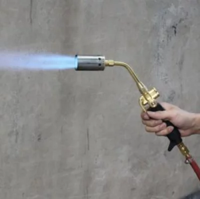 治療壁癌的偏方有哪些-6